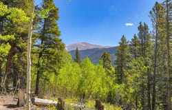715 LEWSADER ROAD, Alma, CO 80420