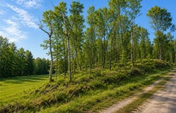 480 Ridgeway Lane, Walker, MN 56484