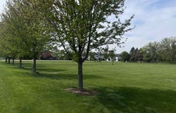 711 21st Street, Prairie Du Sac, WI 53578