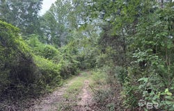 1 Old Stage Road, Repton, AL 36475