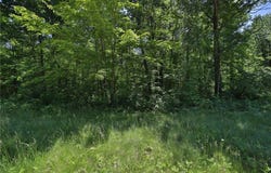 Tract D Olander Road, Crosby, MN 56441