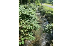 1798 Marvin Hollow Road, Walton, NY 13856