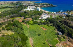 RICE ST, Lihue, HI 96766