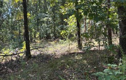 3119  Doc gray road, Maynard, AR 72444