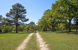 490 John Craft Road, Red Rock, TX 78662