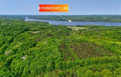 Lot 2 Honey Hollow Road, Bellaire, MI 49615