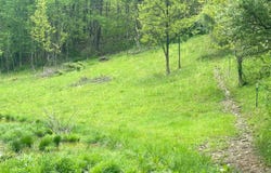 3003 Pell Road, Kingwood, WV 26537