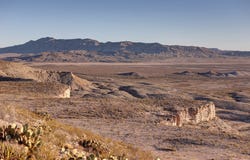 135 Claret Cup, Terlingua, TX 79852