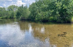 V/L  56th Street, Paw Paw, MI 49079