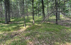 Lot 2 THUNDER HILL LN, St Germain, WI 54558