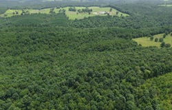 TBD East Tract Weaver Lane, Grannis, AR 71944