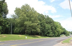 8654 Goodman Road, Olive Branch, MS 38654