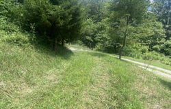 13345 Wolf Creek Rd, Alderson, WV 24910
