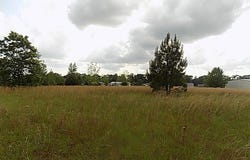 0 HANGING MOSS TRAIL, Cottonwood, AL 36320