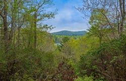 3539 West Club Boulevard, Lake Toxaway, NC 28747