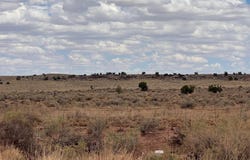 8358 & 8400 Terry Trail, Snowflake, AZ 85937