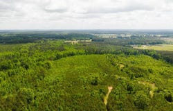 Highway 393, Louisville, MS 39339
