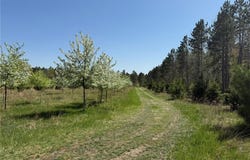 11.5 Acre Lot Nagel Road, Pequot Lakes, MN 56472