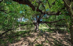TBD County Road 253, Weimar, TX 78962