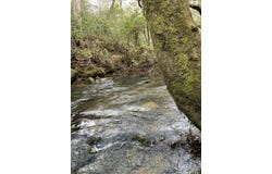 0 Lone Wolf Trail, Spencer, TN 38585