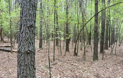 Dardanelle, AR 72834