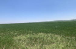 TBD Lower Spring Creek Road, Hermosa, SD 57744