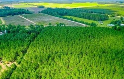 4060 County Farm Road Road, Blackshear, GA 31516