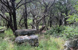 Pr 1032 TX-P7 #2, Meridian, TX 76665