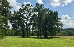 0 County Road 6550, Beulah, MO 65436