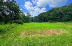 313 WRIGHT RIDGE, RIO, WV 26755