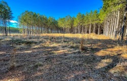 609 Barker Road, Morton, MS 39117