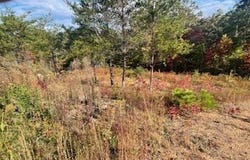 Jay Bird Trl lot: 5, Franklin, NC 28734