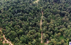 Tract 9 Cook Lane, Cromwell, KY 42333