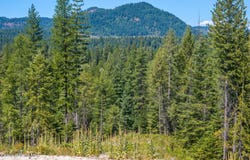 195 Cypress Ct., Priest River, ID 83856