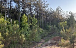 Stewart Weir Road, Stewart, MS 39767