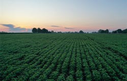 Hwy G76 & 190th Avenue, Lacona, IA 50139