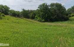 Tulip Ave, Geneva, IA 50633