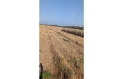 McMasers Road lot: 68, Alice, TX 78332