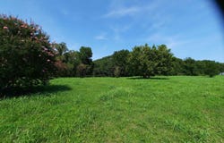 002 Jellon, Mountain View, AR 72560