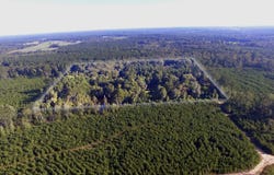 556 MILTON ROAD, Spearsville, LA 71277