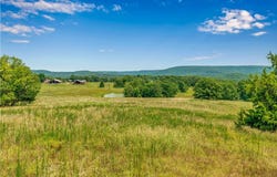 14865 Bradberry Farm Road, Winslow, AR 72959
