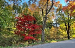 0 Marion Road, White Twp, PA 15701