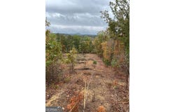 1558 Jamestown, Menlo, GA 30731