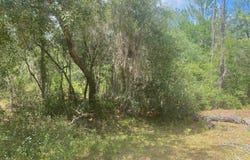 7 SHAPPELL Avenue, Interlachen, FL 32148