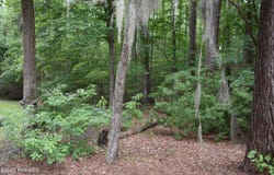 River Road lot: 6, Blounts Creek, NC 27814