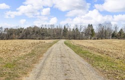 9875 Rountree Road, Hanover, MI 49241