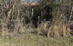0 County Road 45, Rockford, AL 35136