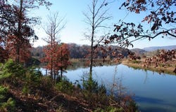 8 Lakeview Drive, Rising Fawn, GA 30738