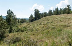 268 HIGH RIVER COURT, Alma, CO 80420