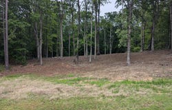 Q Jaber Road, Clarksville, VA 23927